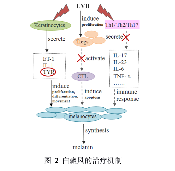 UVB LED：光疗新时代或许来了