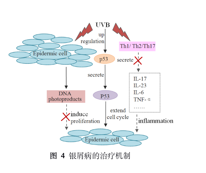 UVB LED：光疗新时代或许来了