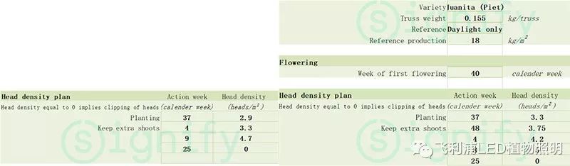 LED番茄补光—全新的种植理念和方法（一）