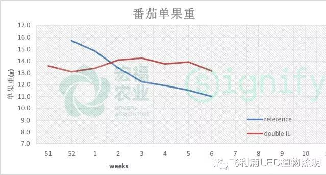 LED番茄补光—全新的种植理念和方法（一）