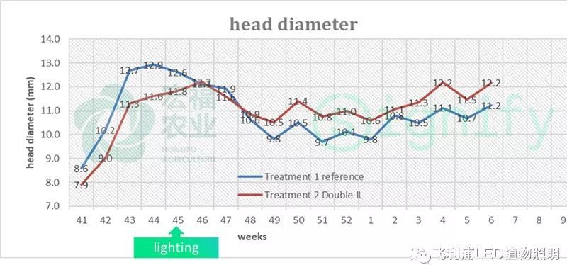 LED番茄补光—全新的种植理念和方法（一）