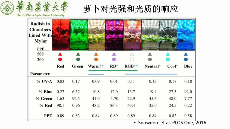 SunLike、RGB、植物照明等LED亮相2019首尔半导体技术研讨会，助推LED细分市场向前迈进