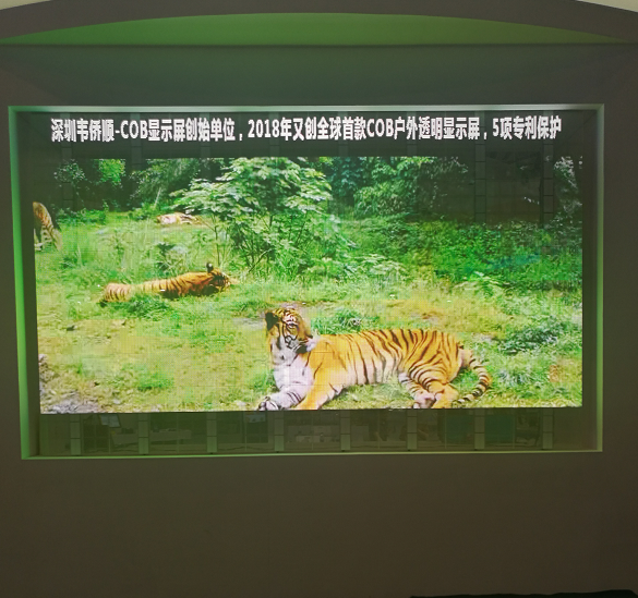 COB全天候通透屏在商业显示中的场景应用