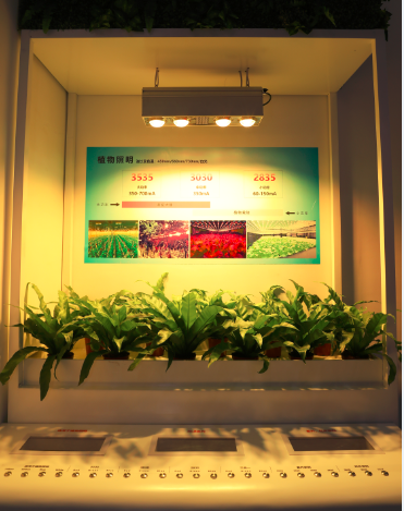 别挤啦，晶科同学的展台要被挤爆啦