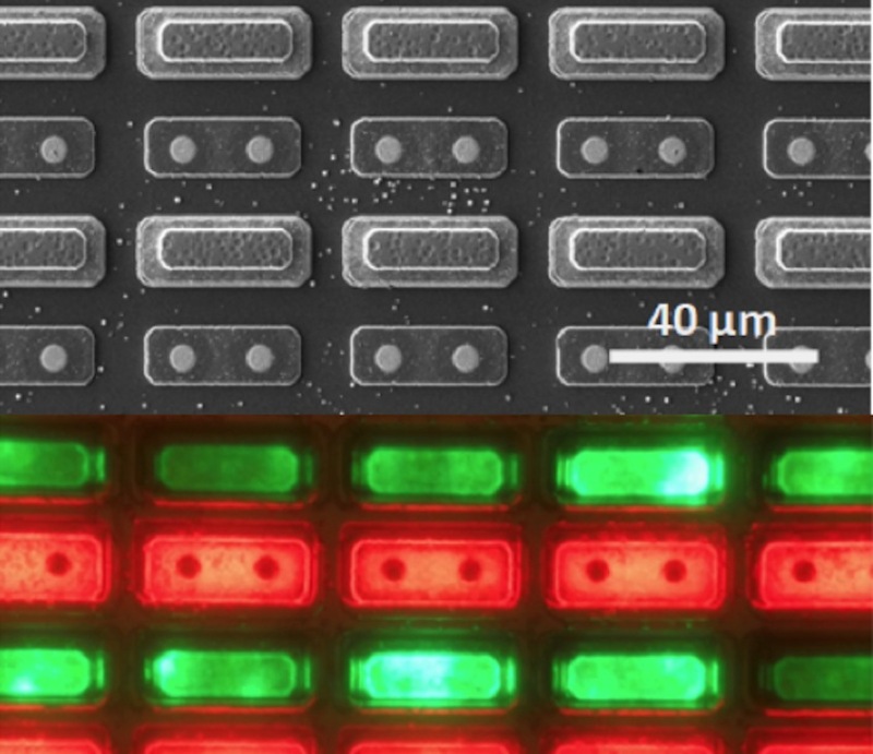 JBD开发2.5微米间距微型LED显示屏