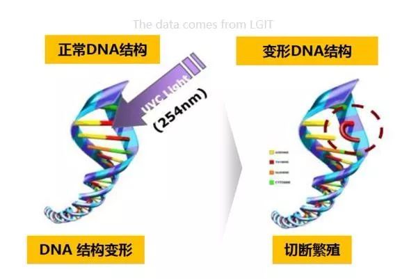 福建天电光电UV LED产品推荐-可见光杀菌 
