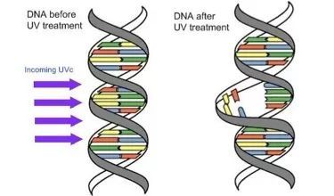 UVC紫外有效杀灭“新冠”的剂量与计量