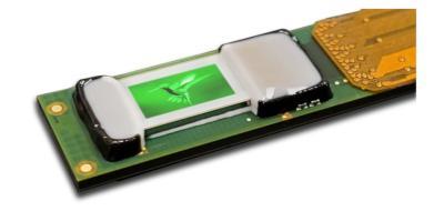 Plessey和Compound Photonics生产首批microLED显示模块