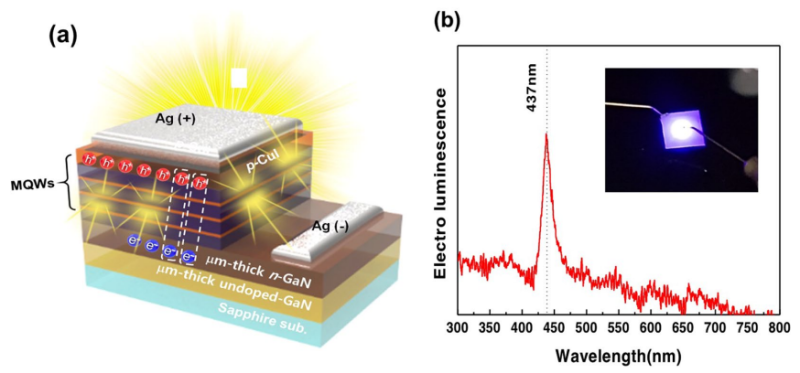 韩国科学技术院（KIST）开发成功可替代氮化镓的蓝光LED是真的吗？