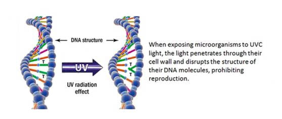 紫外LED在物理杀毒灭菌领域 应用还有多远？