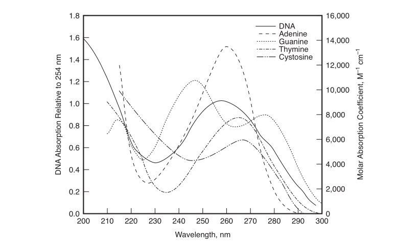 紫外LED在物理杀毒灭菌领域 应用还有多远？