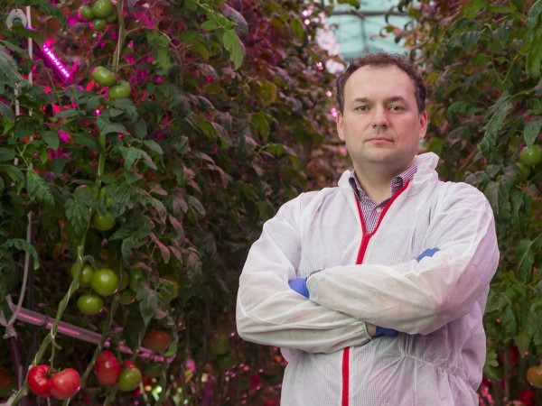 波兰首次在粉红色番茄温室中安装了signify全LED照明