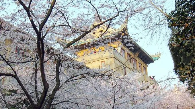 国星声音 | 让科技的阳光驱散阴霾