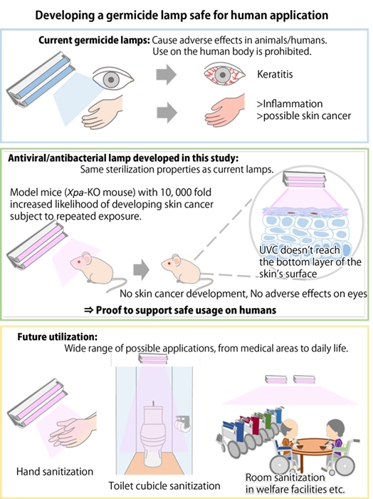 日本研究首次证明222nm的UVC辐射对皮肤和眼睛无害！