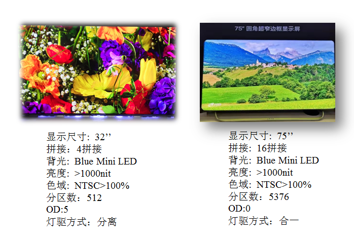 过去一年，Mini LED背光供应链都发生了哪些变化？