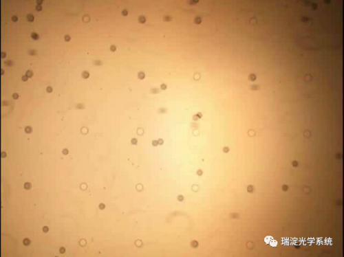 行家说