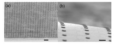 研究人员开发了一种在柔性塑料基板上转移和粘合microLED阵列的新方法