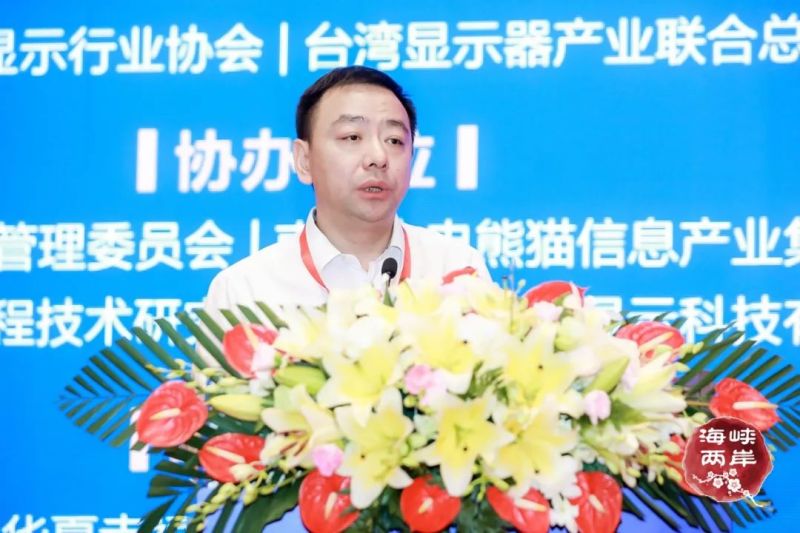 2020海峡两岸（南京）新型显示产业高峰论坛成功举办