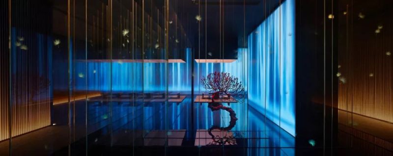 第五届云知光论坛议程和嘉宾阵容重磅揭晓！