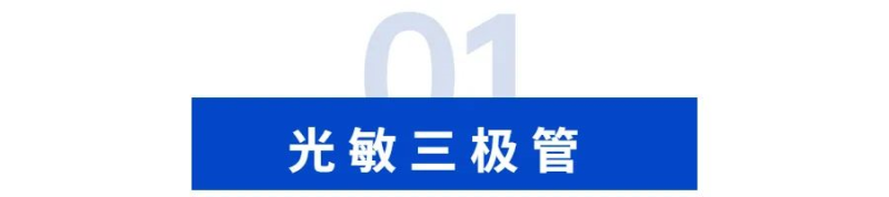 藏在小身板里的巧思与智慧