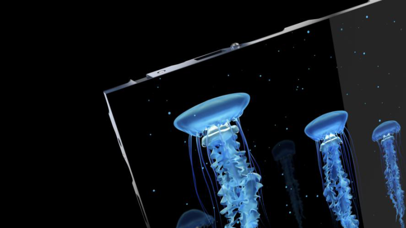 亮剑2021，创显光电黑钻晶COB为行业赋能新动力并再次扩产