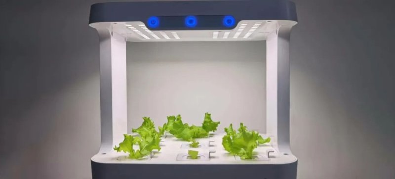 LED植物照明这么火，凭什么？