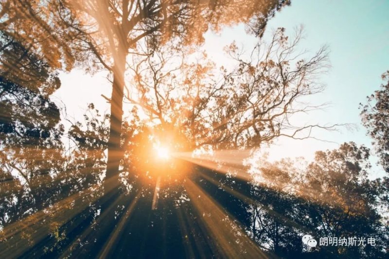 Luminus与inSona签约独家战略合作