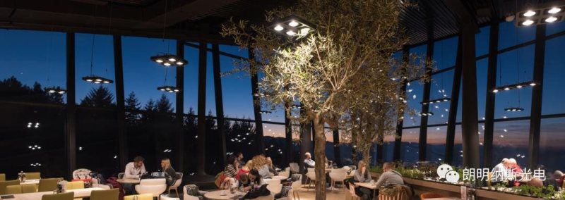 Luminus与inSona签约独家战略合作