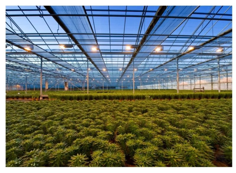 【新品上市】Luminus推出高光效中功率3030 LED