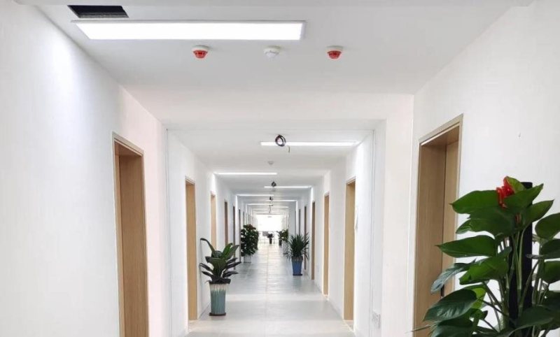 案例︱鸿利智汇教育照明产品为广州新校园打造健康光环境