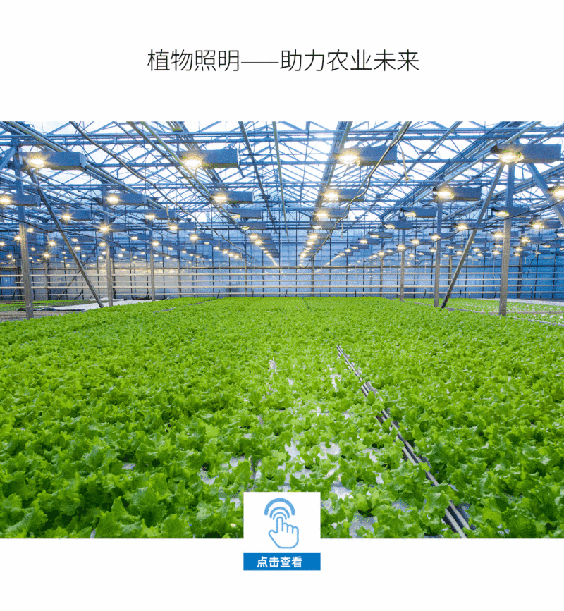 展会预告|鸿利智汇与您相约广州国际照明展，新产品技术提前GET！