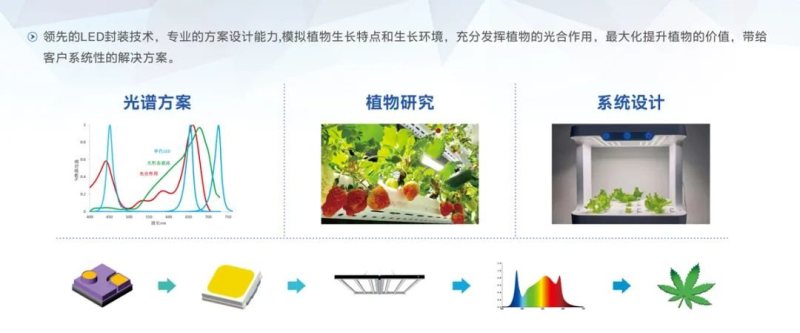 相约光亚展 | 国星这些看点不容错过