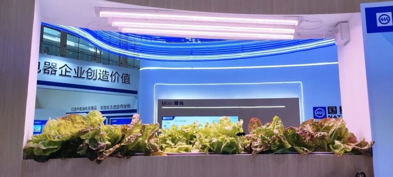 相约光亚展 | 国星这些看点不容错过