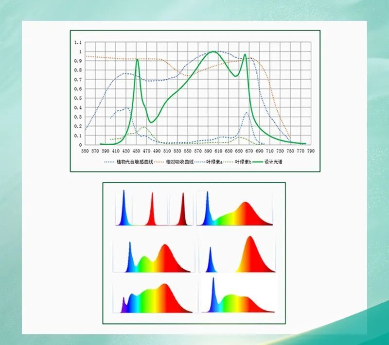 国星光电生物光学LED助力“点亮”智能农业新时代