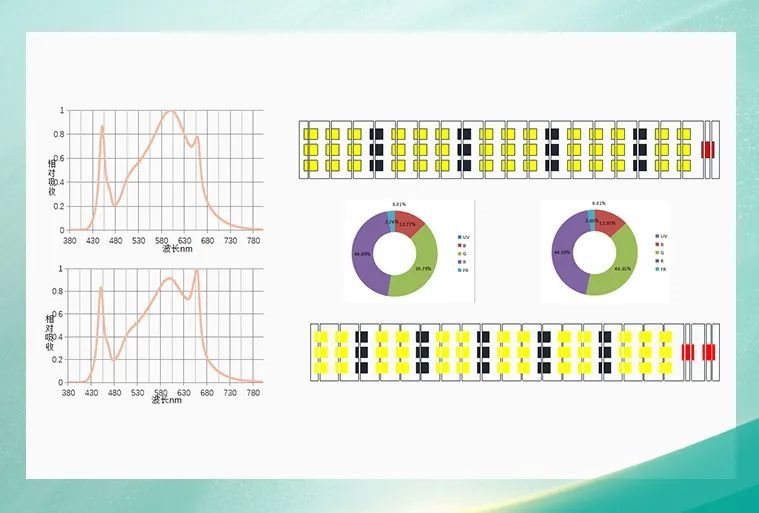 国星光电生物光学LED助力“点亮”智能农业新时代