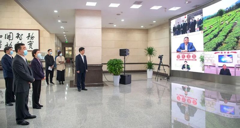 全国政协、湖南省委领导现场体验，Mini LED大屏数字政务再显身手