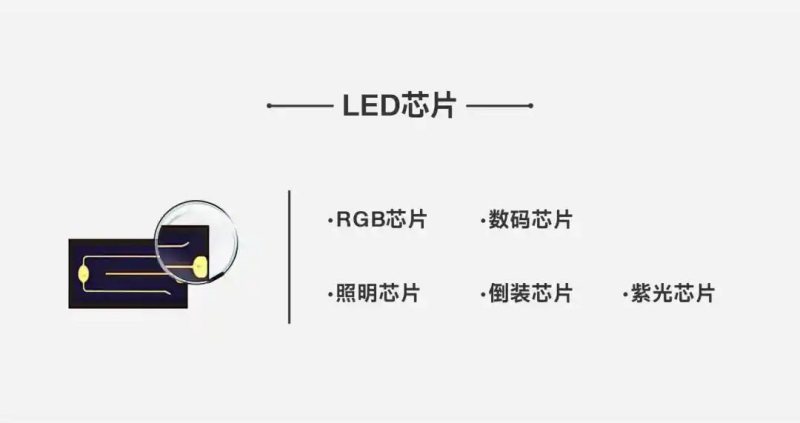 扩产增效！国星光电“虎”力全开