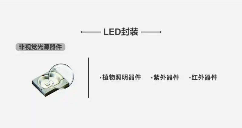 扩产增效！国星光电“虎”力全开