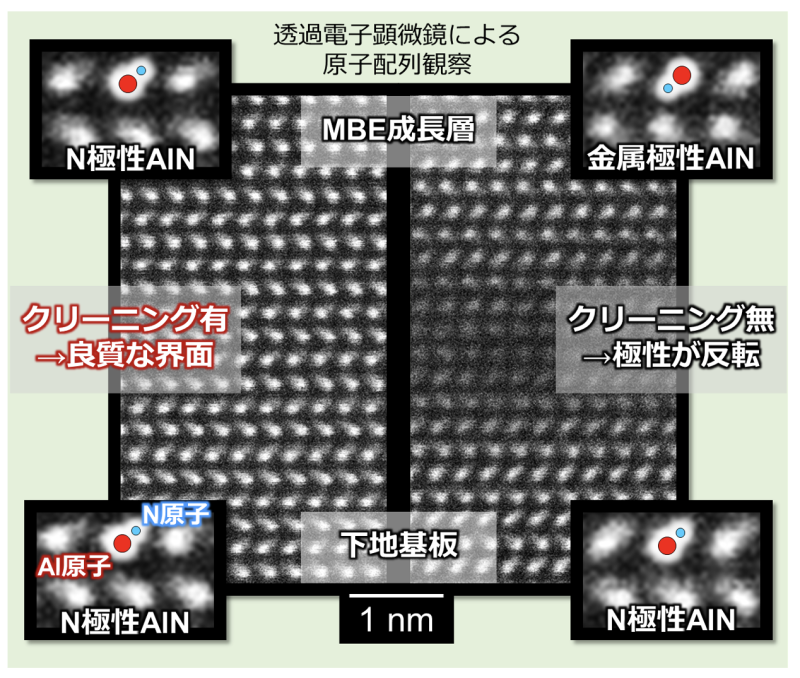 大阪大学成功研发2吋低成本N极性氮化铝基GaN