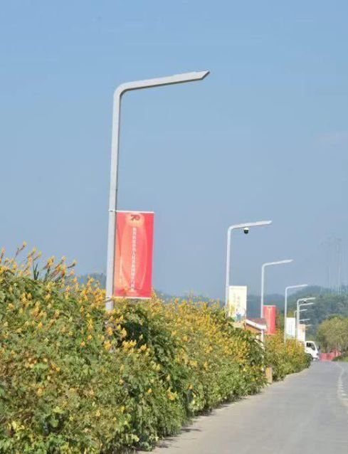 5G建设再现深圳速度：已建成2289根智慧杆全省第一