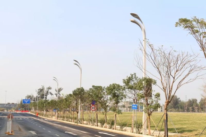 洲明再次亮相央视，这次因为智慧路灯！