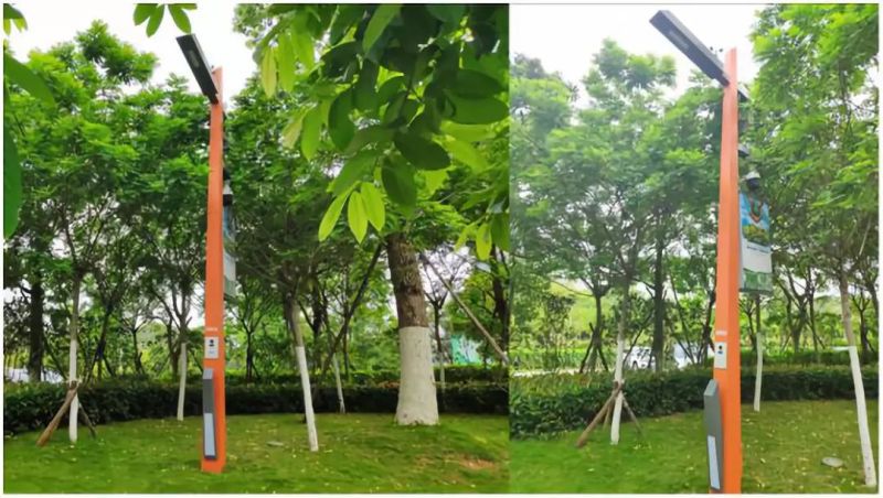 洲明再次亮相央视，这次因为智慧路灯！