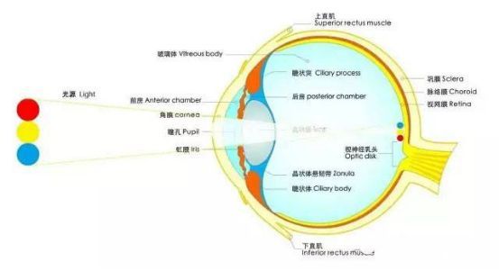 背景调研：中国健康照明任重道远