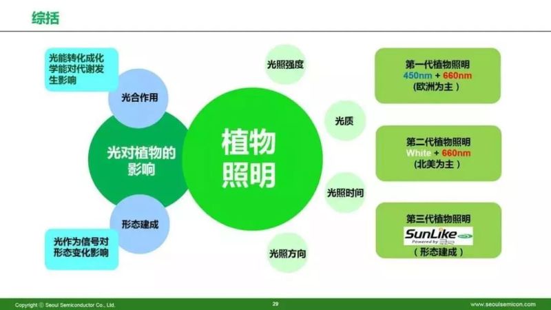 植物照明风口来临，你准备好了吗？