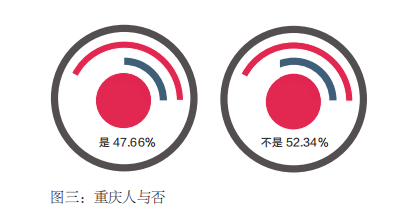 重庆：一座网红城市的夜间模式报告