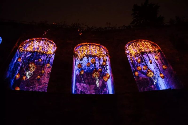 今年的里昂灯光节，创意作品有点多