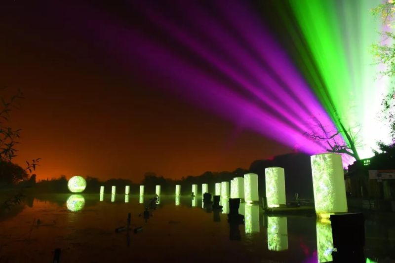 今年的里昂灯光节，创意作品有点多