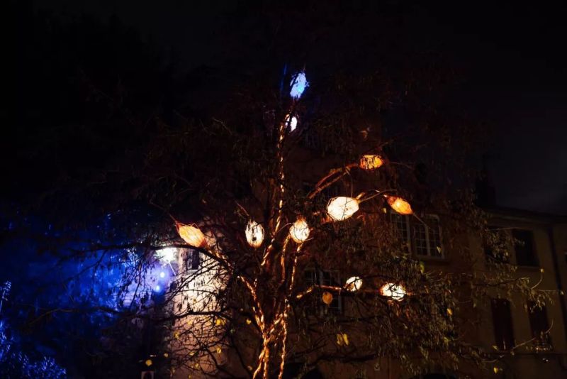 今年的里昂灯光节，创意作品有点多