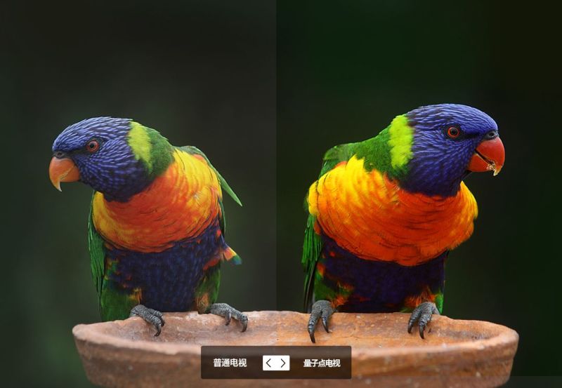 一文看懂量子点显示技术及相关量产工艺