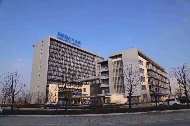 BOE（京东方）上榜2019中国品牌强国盛典榜样100品牌